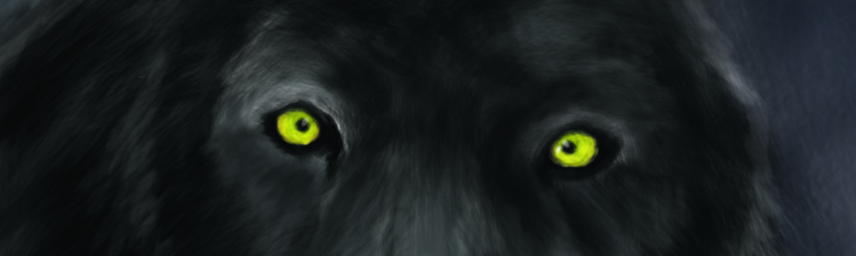Black Wolf Eyes
